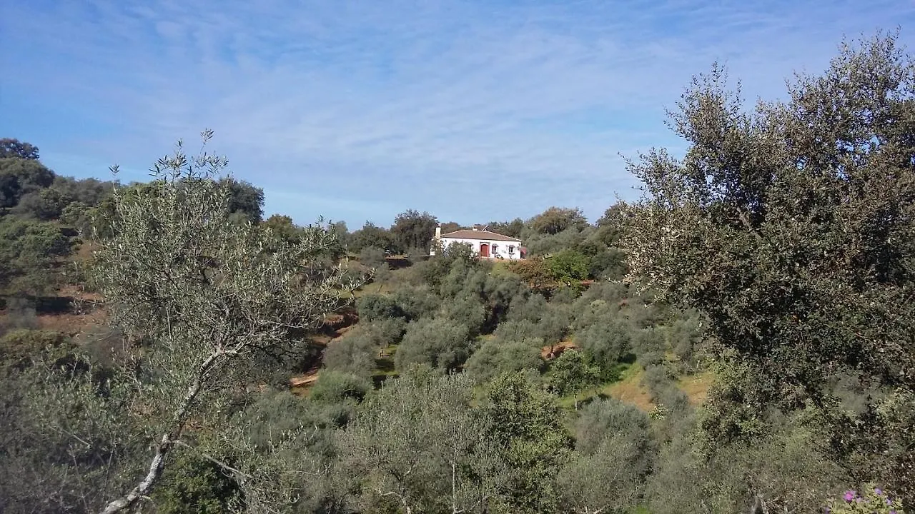 Holiday home Cortijo Rural Flor De Cazalla Cazalla de la Sierra